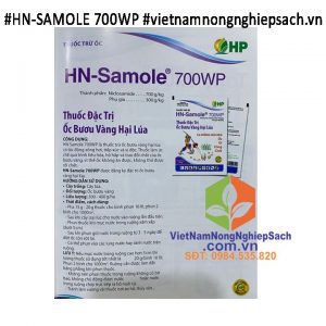 HN-SAMOLE 700WP
