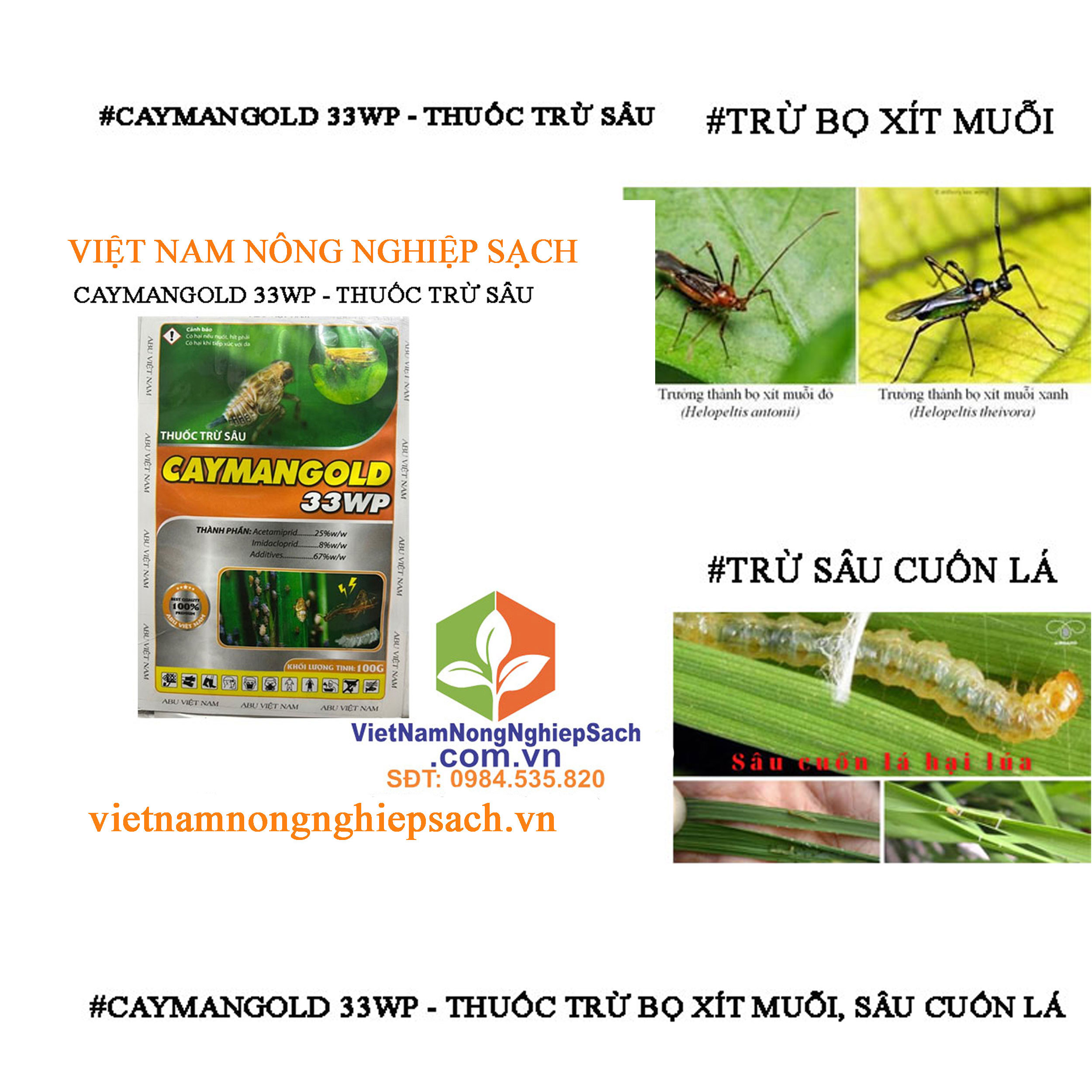 CAYMANGOLD-33WP-bọ-xít-muỗi