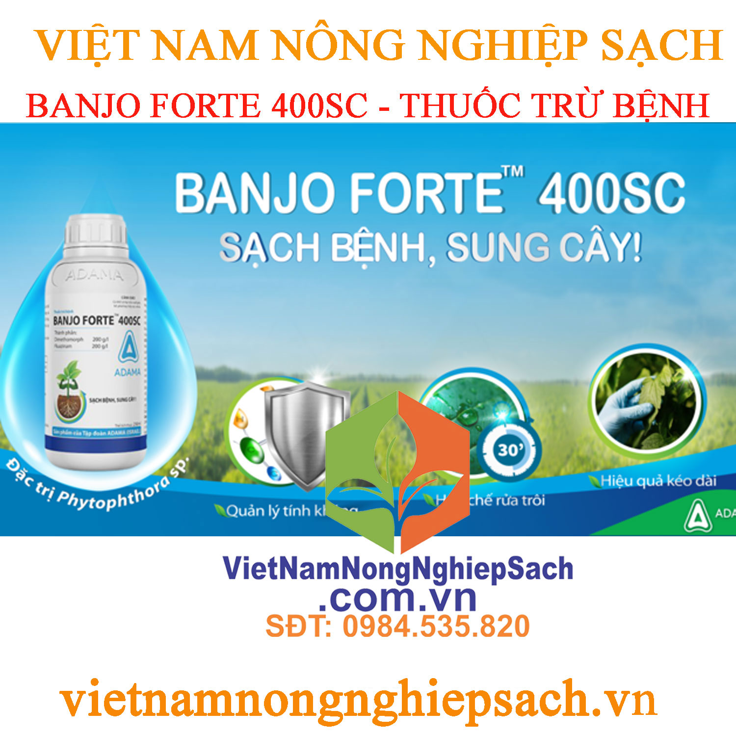 BANJO-FORTE-400SC-sạch-bệnh