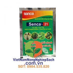 SENCA-21