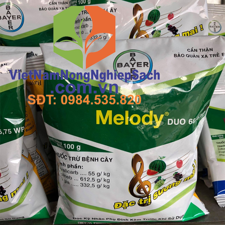Melody®-Duo-66,75WP