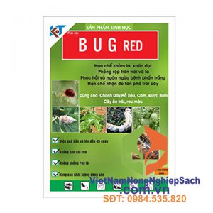 RED-BUG