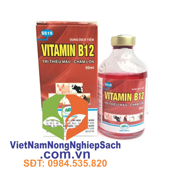 VITAMIN-B12