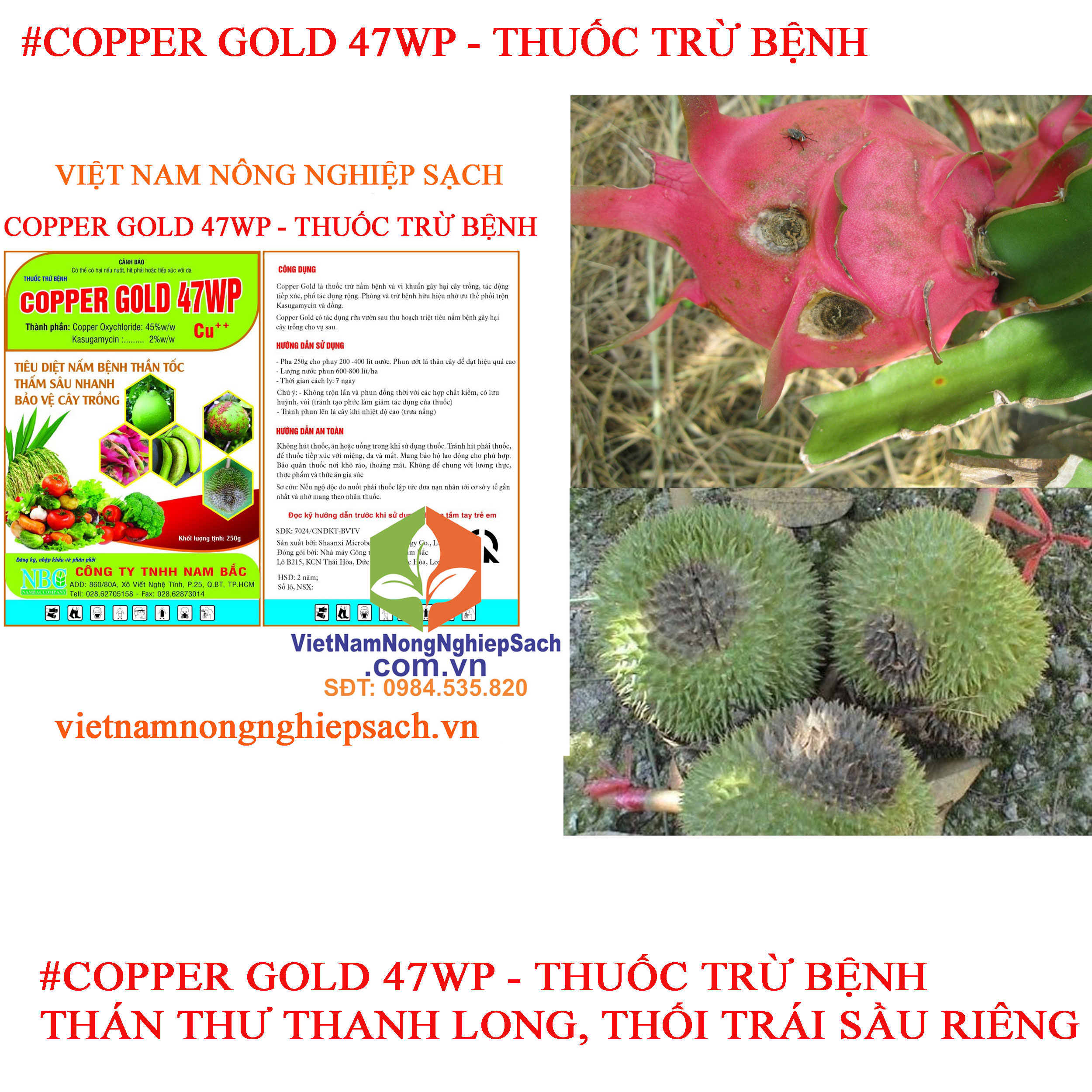 COPPER-GOLD-47WP-THÁN-THƯ