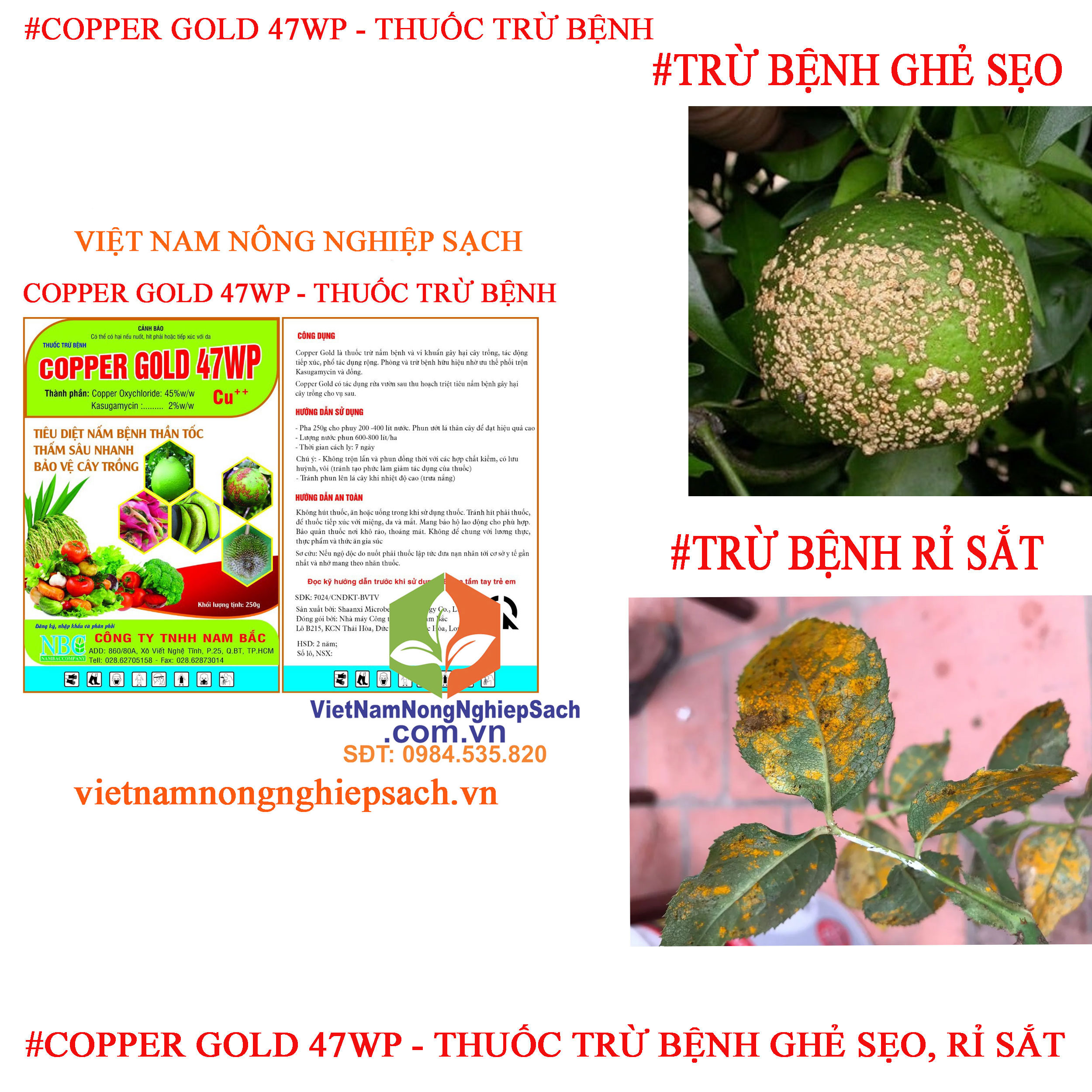 COPPER-GOLD-47WP-ghẻ-sẹo